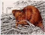 Biberbriefmarke Weissrussland 1996 ungestempelt_TN