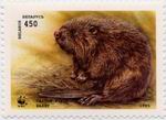 Biberbriefmarke Weissrussland WWF 1995 3 ungestempelt_TN