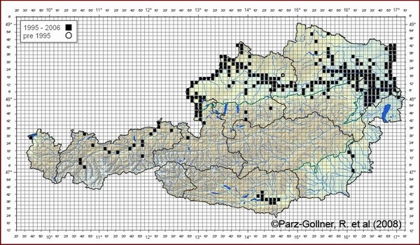 Biberverbreitung_Oesterreich_2008