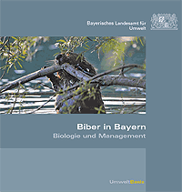 Biber in Bayern